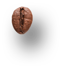 h5-shape15