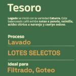 Café Tesoro x 340 g - Image 2