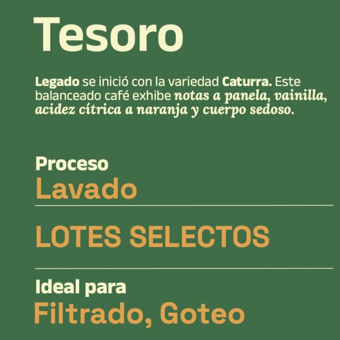 Café Tesoro x 340 g - Image 2